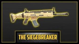 best siegebreaker perks [upl. by Schonfield613]