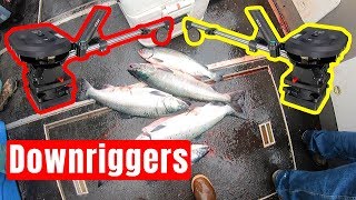 How to use Downriggers Salmon Edition [upl. by Oflodor]