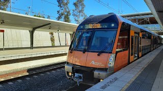 Train Travel Series Video 9 Leppington to Central via Granville [upl. by Enilegnave746]