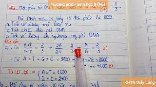 Nucleic acid DNA và RNA  Sinh học 9 P6 [upl. by Endo]