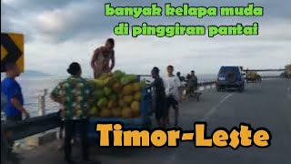 Keindahan Pantai Timor Leste sore hari [upl. by Fritzsche]