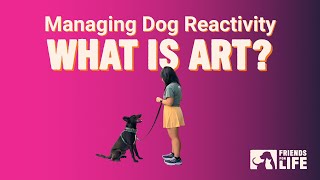 Managing Dog Reactivity  What is ART Part 1 [upl. by Ahsel]