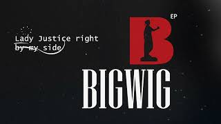 MI Abaga  Im a BIGWIG quotOfficial Lyric Videoquot  BIGWIG EP [upl. by Anaehs727]