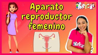 🚺👩🏻Aprende el aparato reproductor femenino [upl. by Tesil11]