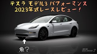 レースレビュー！テスラ モデル3 パフォーマンス 2023年式EVファミリーカーの最高峰？！ [upl. by Ettereve666]