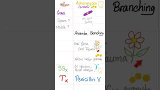 Actinomyces israeli  Anaerobic branching Grampositive Rod Bacteria  Microbiology 🧫 science [upl. by Cordalia]