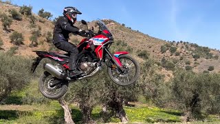 Africa Twin 2024 vs Africa Twin Adventure Sports 2024 in Offroad [upl. by Ahsimik]