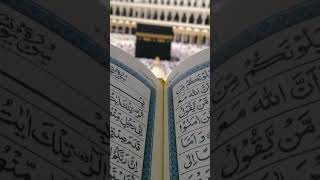 shro allhah ka name viralvideo [upl. by Nhguahs]