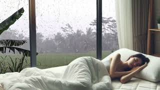 Heavy rain to sleep  Eliminates stress tiredness tiredness and tiredness after work [upl. by Layman]