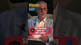 SEC Running Node on XRP Ledger  Stuart Alderoty Ripple [upl. by Enelyt]