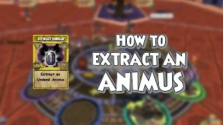 Wizard101 Monstrology How to Extract Animus [upl. by Rubma]