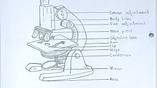 Class 12Plus twoBotany practical recordMICROSCOPE amp STUDY OF LOWER GROUP OF ORGANISMSbotany [upl. by Omora]