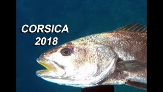 Corsica 2018 [upl. by Rutherford]