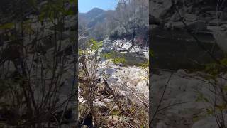 flooding at the bottom of Spence Ridge trail Linville Gorge chiefsholsters hiking linvillegorge [upl. by Evslin]