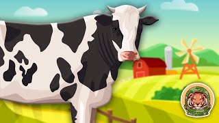 Cows Learn All About Cows  Farm Animal Songs For Kids  KLT WILD [upl. by Ennayhs]