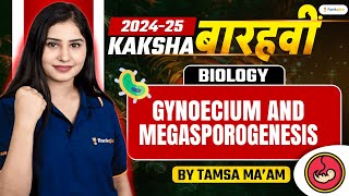 Gynoecium and Megasporogenesis  Class 12 Biology  Tamsa Maam  Rankplus class12biology [upl. by Nidnerb976]