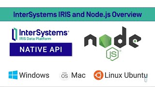 InterSystems IRIS and Nodejs Overview [upl. by Aseela456]