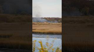 200mm Photography Staten Island a7S3 28200mm sonya7Siii landscape nyc sunset fire [upl. by Granniah]