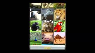 Best iPad Apps For Kids Vocal ZooAnimal Flash Cards [upl. by Ysirhc338]