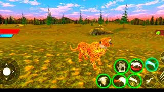 TIgER SImULaTOR 3D TIGeR GaME ONLY GaMInG [upl. by Gratiana]