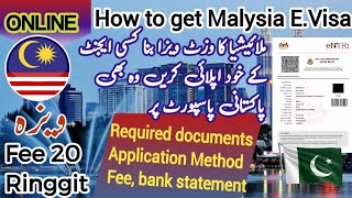 How to apply Malaysia e visa  get Malaysia e visa in just 3 working days  E Visa  visit visa✨ [upl. by Anerbes340]