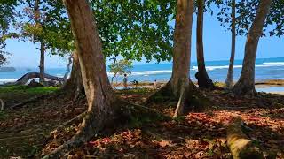 Punta Cocles walk on beach [upl. by Niarbo]