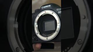 Can the Canon R7 Substitute a Full Frame Camera [upl. by Ahsenev]