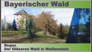 STADT REGEN  DER GLÄSERNE WALD IN WEIßENSTEIN  BAYERISCHER WALD  gefilmt mit DJI Osmo Action [upl. by Ablem]