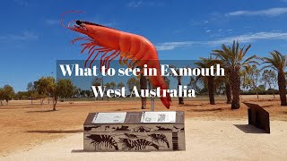 What to see in Exmouth West Australia [upl. by Archie]