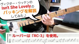 【解説】Victor Wooten「Isnt She Lovely」をルーパーベースで弾く方法【チュートリアル】 [upl. by Hada]