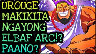 UROUGE MAGPAPAKITA NGAYONG ELBAF ARC  One Piece Tagalog Analysis [upl. by Abagael]