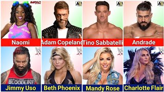 WWE and AEW Infonab Who Are Married to Each Other [upl. by Yelsha]