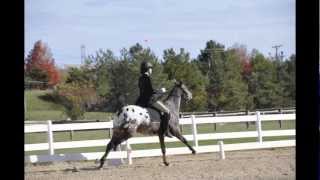 DressageBolting Bucking HD [upl. by Semadar]