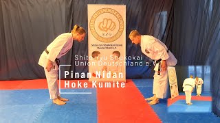 Pinan Nidan  Hoke Kumite Shitoryu Shukokai [upl. by Lairret]