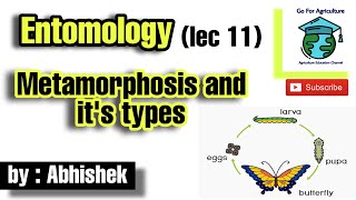 Metamorphosis in insects and its types  Entomology lec 11  Go For Agriculture [upl. by Nabatse]