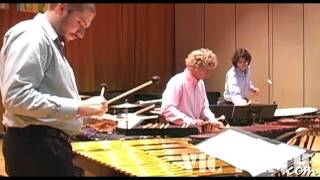 Concerto for Marimba amp Percussion Ensemble mvt 1 by Ney Rosauro  Marimba Literature Library [upl. by Fowle431]