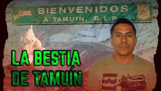 La Bestia de Tamuín  Filiberto Hernández Martínez  Ep 15  Perfil Criminal  Podcast [upl. by Norb]