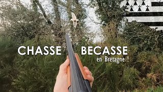 Chasse de la Bécasse en Bretagne  Une scène hors du commun [upl. by Aikemehs]