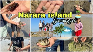 Narara Island Jamnagar🏝️Narara Marine National Park🐌Narara Tapu Jamnagar Gujrat [upl. by Sherwin]