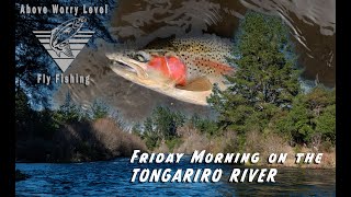 A Friday Morning on the TONGARIRO RIVER [upl. by Euqirne415]