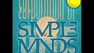 Simple Minds amp Corporation of one Theme For Great CitiesLees Real Life 2016 Bootleg [upl. by Morly]