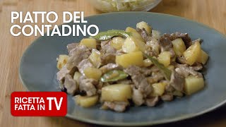 PIATTO DEL CONTADINO di Benedetta Rossi  Ricetta TV Fatto in Casa per Voi [upl. by Pritchard]