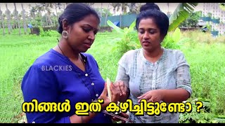 BLACKIES VLOG  Epi 02  MANJU PATHROSE I SIMI SABU I ഇത് നിങ്ങള് കഴിച്ചിട്ടുണ്ടോ [upl. by Nam]