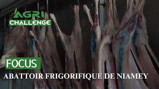 AGRICHALLENGE  Focus sur labattoir frigorifique de Niamey [upl. by Samal]