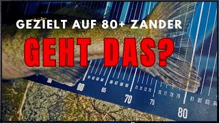 Auf Großzander vom Ufer 80er auf Ansage [upl. by Adnwahs]