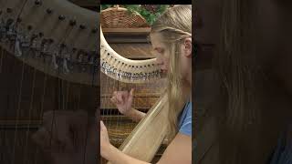 Planxty Irwin Celtic Harp shorts harp celticharp irishmusic irishtune [upl. by Rhetta]