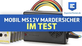 Marderschreck Review Mobil MS12V von MarderSICHER im Test 2021 [upl. by Elianore182]