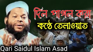 🌏 Saidul Islam Asad is a reciting reciter  Bangladeshi🎤 qari Saidul Islam Asad [upl. by Akkina870]