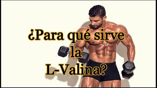 ¿Para qué sirve la L Valina [upl. by Pompei302]