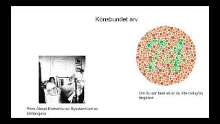 Könsbundet arv [upl. by Wise]